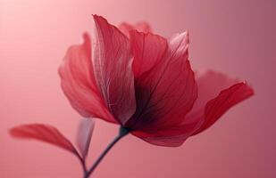 ai generado un rojo flor forma en un rosado antecedentes foto