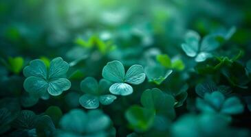 AI generated clover nature background photo