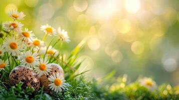 AI generated spring early morning easter background with copy space photo