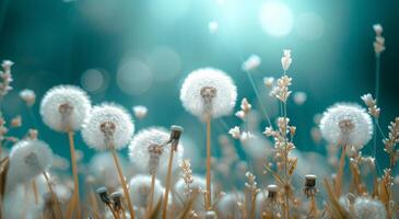 AI generated these dandelions are in the field by a field of grasses photo