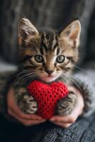 AI generated Cute kitten holding a red knitted heart in his hands photo
