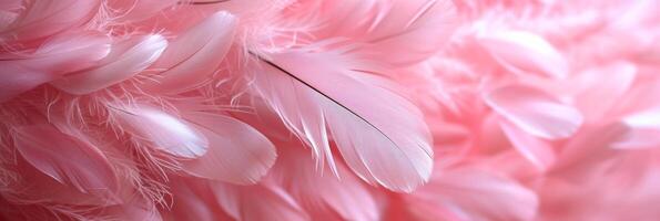 AI generated Beautiful background of pink feathers photo