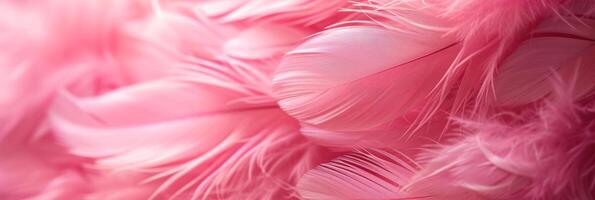 AI generated Beautiful background of pink feathers photo