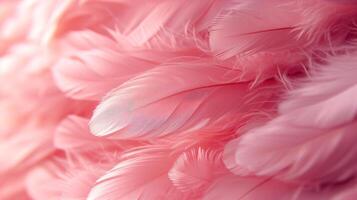 AI generated Beautiful background of pink feathers photo