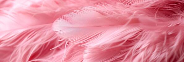 AI generated Beautiful background of pink feathers photo