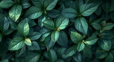 AI generated a close up image of many green leaves in the garden photo