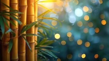 AI generated bamboo close up background with bokeh lights, large copyspace area, offcenter composition photo