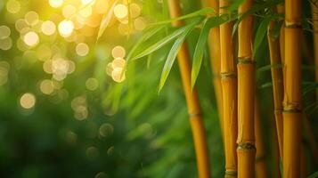 AI generated bamboo close up background with bokeh lights, large copyspace area, offcenter composition photo