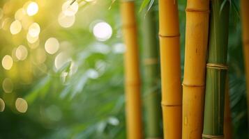 AI generated bamboo close up background with bokeh lights, large copyspace area, offcenter composition photo