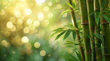 AI generated bamboo close up background with bokeh lights, large copyspace area, offcenter composition photo