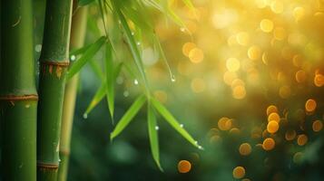 AI generated bamboo close up background with bokeh lights, large copyspace area, offcenter composition photo