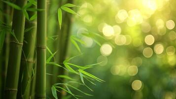 AI generated bamboo close up background with bokeh lights, large copyspace area, offcenter composition photo