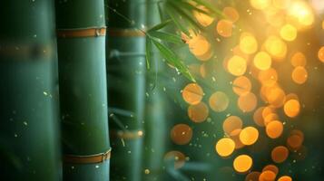 AI generated bamboo close up background with bokeh lights, large copyspace area, offcenter composition photo