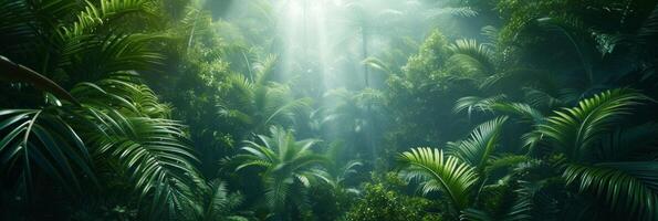 AI generated Beautiful photo of a tropical forest for a background