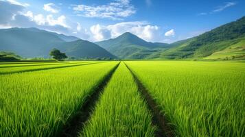 ai generado hermosa foto de arroz campos para antecedentes