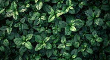 AI generated green foliage leaves wallpaper background photo