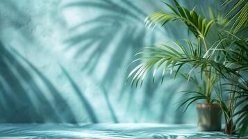 AI generated light blue wall and blurred shadow from palm leaves photo