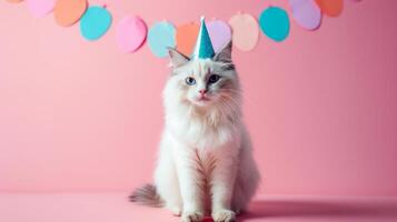 AI generated White fluffy cat sits in a birthday cap looking at the camera on a minimalistic bright background photo