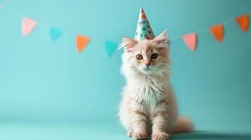 AI generated White fluffy cat sits in a birthday cap looking at the camera on a minimalistic bright background photo
