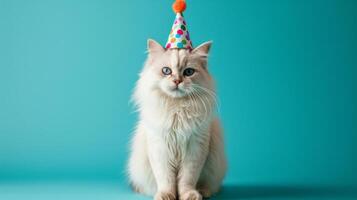 AI generated White fluffy cat sits in a birthday cap looking at the camera on a minimalistic bright background photo