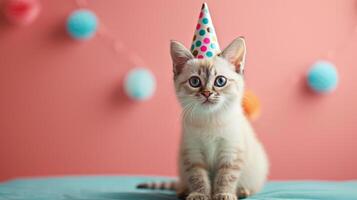 AI generated White fluffy cat sits in a birthday cap looking at the camera on a minimalistic bright background photo