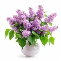 AI generated Beautiful bouquet of lilacs isolated on white background photo