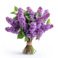 AI generated Beautiful bouquet of lilacs isolated on white background photo