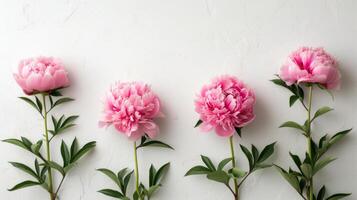 AI generated Beautiful minimalistic white background with pink peonies on the side photo