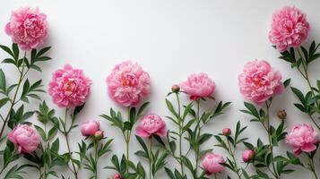 AI generated Beautiful minimalistic white background with pink peonies on the side photo