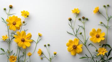AI generated Beautiful minimalistic white background with yellow daisies on the side photo
