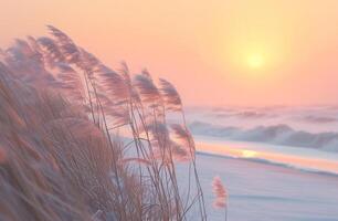 AI generated waves break over tall grasses at sunrise, dutch marine scenes photo