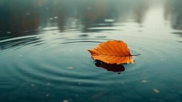 AI generated A single leaf floating on a calm pond, capturing minimalistic beauty in solitude photo