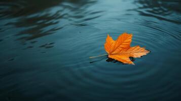 AI generated A single leaf floating on a calm pond, capturing minimalistic beauty in solitude photo