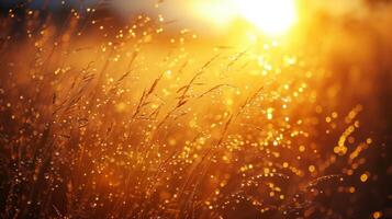 AI generated The golden glow of a dawning sun, casting long shadows on dew-kissed blades of grass. photo