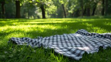 AI generated A checkered picnic blanket laid out on lush green grass, evoking a classic American picnic scene. photo