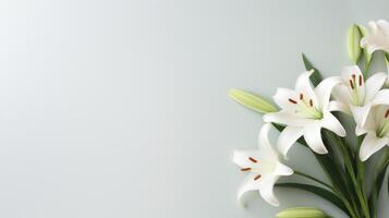 AI generated A minimalist Easter scene featuring a lone, graceful lily on a pristine white backdrop. photo