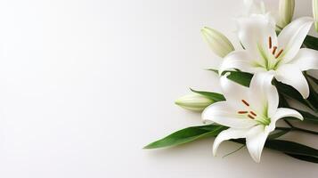 AI generated A minimalist Easter scene featuring a lone, graceful lily on a pristine white backdrop. photo