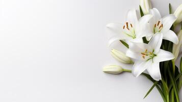 AI generated A minimalist Easter scene featuring a lone, graceful lily on a pristine white backdrop. photo