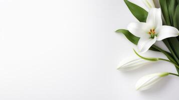 AI generated A minimalist Easter scene featuring a lone, graceful lily on a pristine white backdrop. photo