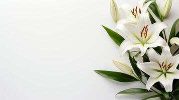 AI generated A minimalist Easter scene featuring a lone, graceful lily on a pristine white backdrop. photo