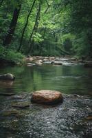 AI generated A tranquil, minimalist forest stream with a single, smooth rock in the water photo