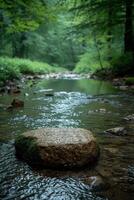 AI generated A tranquil, minimalist forest stream with a single, smooth rock in the water photo