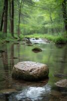 AI generated A tranquil, minimalist forest stream with a single, smooth rock in the water photo