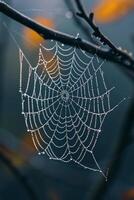 ai generado un de cerca de un cubierto de rocío telaraña, exhibiendo de la naturaleza intrincado arte foto