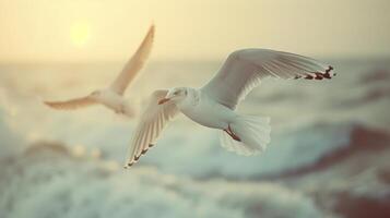 AI generated Seagulls soar against a coastal backdrop, epitomizing the freedom of the open sea photo