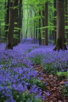 AI generated Wild bluebells carpeting a forest floor, creating a magical woodland scene photo