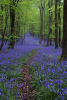AI generated Wild bluebells carpeting a forest floor, creating a magical woodland scene photo