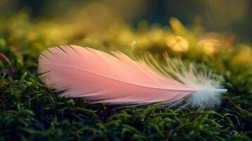 AI generated A serene photo of a light pink feather lying atop a mossy surface