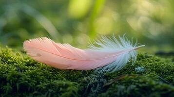 ai generado un sereno foto de un ligero rosado pluma acostado encima un cubierto de musgo superficie