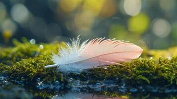 ai generado un sereno foto de un ligero rosado pluma acostado encima un cubierto de musgo superficie